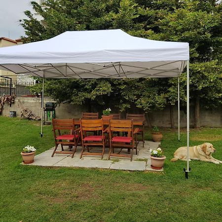 Athina'S Home 1 アギオス・ニコラオス エクステリア 写真